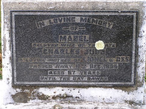 Full-size image