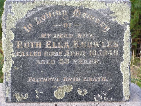 Full-size image