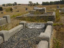 Full-size image