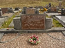 Full-size image