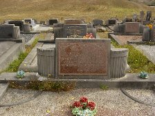 Full-size image