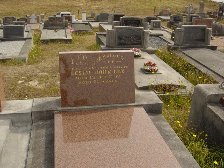 Full-size image