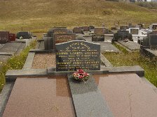 Full-size image