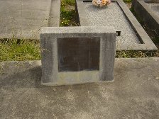 Full-size image
