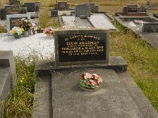 Full-size image