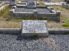 Full-size image