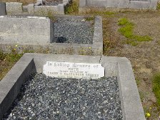 Full-size image