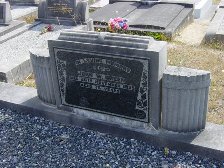 Full-size image