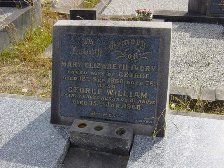 Full-size image