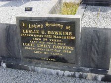 Full-size image