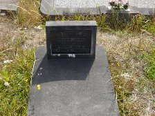 Full-size image