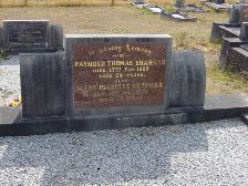 Full-size image
