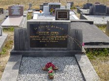 Full-size image