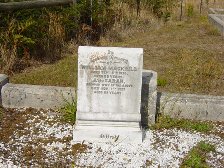 Full-size image