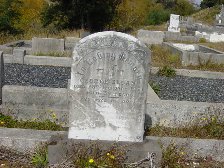 Full-size image