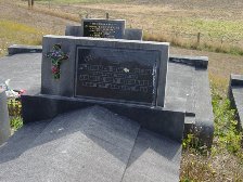 Full-size image