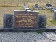 Full-size image