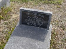 Full-size image
