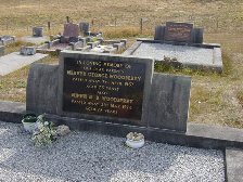 Full-size image