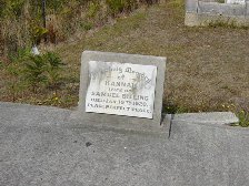 Full-size image
