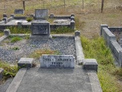 Full-size image