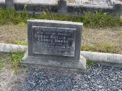 Full-size image