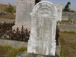 Full-size image