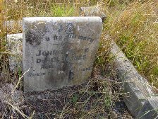Full-size image