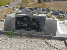 Full-size image