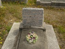 Full-size image