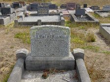 Full-size image