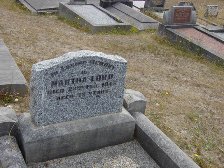 Full-size image