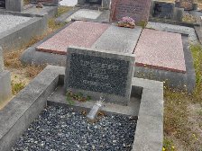 Full-size image