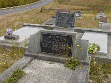 Full-size image