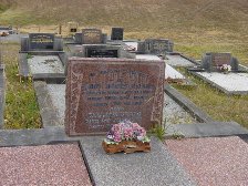 Full-size image