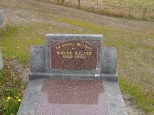 Full-size image