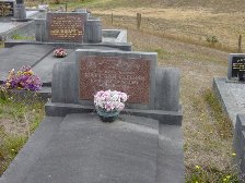 Full-size image