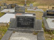 Full-size image