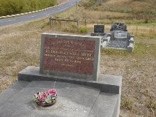 Full-size image