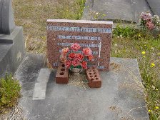 Full-size image