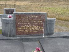 Full-size image