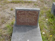 Full-size image