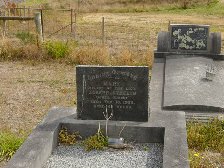 Full-size image