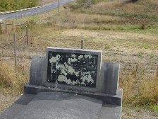 Full-size image