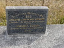 Full-size image