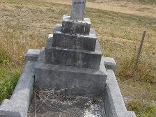 Full-size image