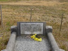 Full-size image