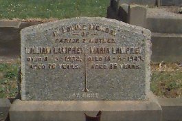 Full-size image