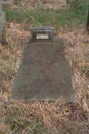 Full-size image