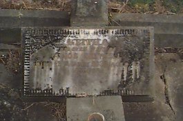 Full-size image
